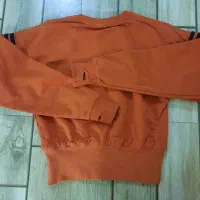 کراپ شلوار دخترانه|لباس|قم, باغ کرباسی|دیوار