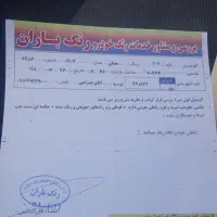 ۲۰۷|خودرو سواری و وانت|شیراز, گلشن|دیوار