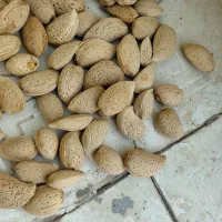 بادام تلخ و بادام شیرین|خوردنی و آشامیدنی|خوانسار, |دیوار