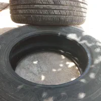 لاستیک ایران تایر