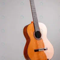 آموزش و تدریس گیتار بانوان