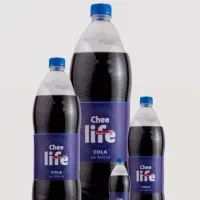 استخدام ویزیتور