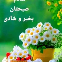 فروش خط دائم رند