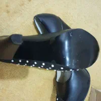 کفش های مجلسی نو|کیف، کفش، کمربند|زنجان, |دیوار