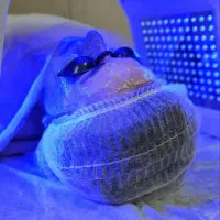 تخفیفات ویژه