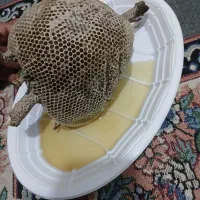 عسل|خوردنی و آشامیدنی|اندیمشک, |دیوار