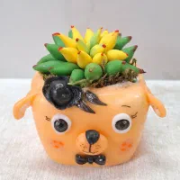 گلدان های فانتزی|کلکسیون و سرگرمی|قم, هنرستان|دیوار