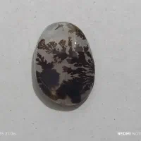 عقیق شجر