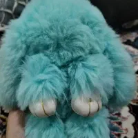 خرگوش پنهان