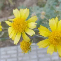 راهنمایی میخوام