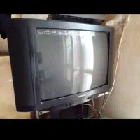 تلویزیون