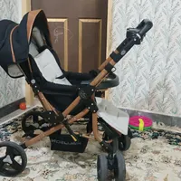 کالسکه مارک دلیجان پارچه چیکو