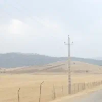 گندم دیم آذر۲درجه یک