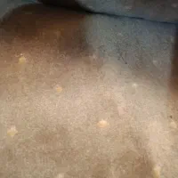 موکت دست دوم