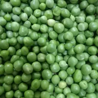 محصولات دهکده سبز