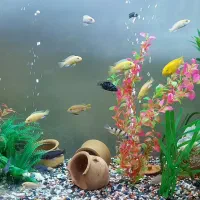 اکواریوم باتمام تجهزات