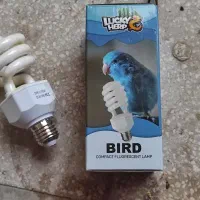 لامپ مخصوص پرندگان|لوازم جانبی حیوانات|قم, نخودی|دیوار