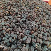 کشمش درجه یک|خوردنی و آشامیدنی|پرند, فاز ۶|دیوار