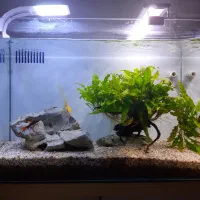 اکواریوم بک سامپ با کمد