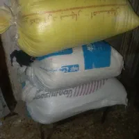 گندم خورده