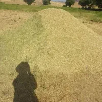 یونجه|لوازم جانبی حیوانات|سارال, |دیوار