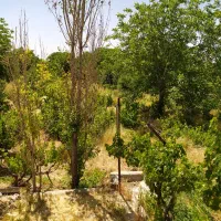 باغ-با-شرایط-اقساط-و-چکی