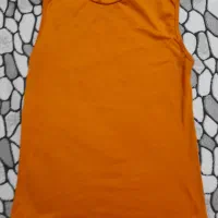 تاپ|لباس|شیراز, تندگویان|دیوار