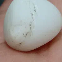 الماس خام|جواهرات|سلماس, |دیوار