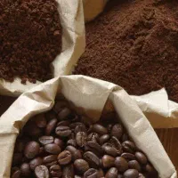دعوت به همکاری ادمین و تولیدکننده محتوا خانم