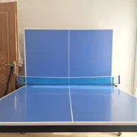 میز پینگ پنگ المپیک سالم در حد نو