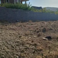 زمین ۵۱۲ متری در هاشمک دماوند|فروش زمین و ملک کلنگی|تهران, زاهد گیلانی|دیوار