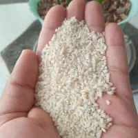 برنج نیم دانه سورتینگ شده طارم هاشمی محل