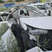 دنا EF7 تصادفی