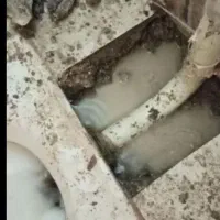 نشت یابی آب لوله فاظلاب  دستگاه هوشمند فوق پیشرفته|خدمات پیشه و مهارت|بوشهر, |دیوار