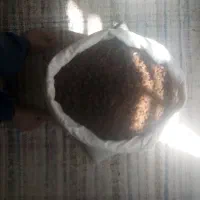 کشمش خشک امسال