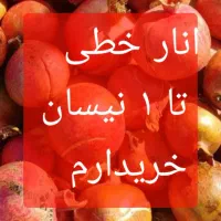 انار  خطی|خوردنی و آشامیدنی|جعفرآباد, |دیوار