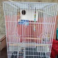 قفس پرنده|لوازم جانبی حیوانات|شیروان (خراسان), |دیوار
