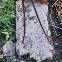 تیرچه بتنی|مصالح و تجهیزات ساختمان|مشگین شهر, |دیوار