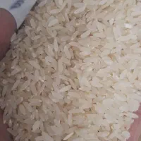 برنج اصل کامفیروزی بشرط پخت