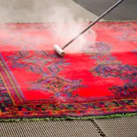 قالیشویی پاسارگاد ری|خدمات نظافت|ری, شهادت|دیوار