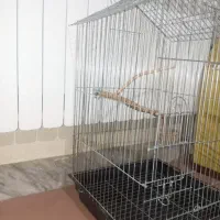 قفس  سالم|لوازم جانبی حیوانات|اصفهان, سرچشمه|دیوار