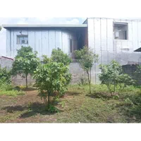 فروش زمین ۲۶۷ متری پاسداران