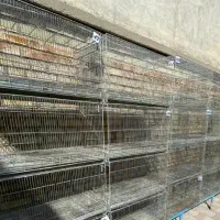 قفس غلامی بافت قدیم هستن سایز بزرگ ۶۴×۴۰|لوازم جانبی حیوانات|اهواز, منبع اب|دیوار