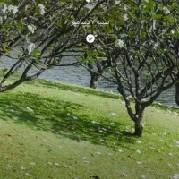 همکاری کوتاه مدت