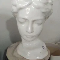 فروش گلدان های زیبا|گل و گیاه طبیعی|محمدیه-قزوین, |دیوار