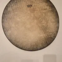 دف نو