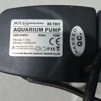 آکواریوم|ماهی|کرمان, |دیوار