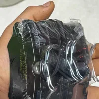 لنت پارس