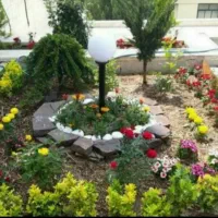 خدمات باغبانی باغچه کاری کاشت گل وگیاه درخت کاری
