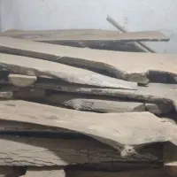 چوب گردو